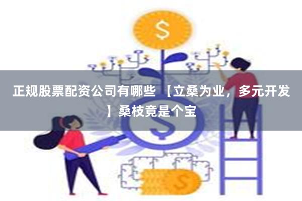 正规股票配资公司有哪些 【立桑为业，多元开发】桑枝竟是个宝