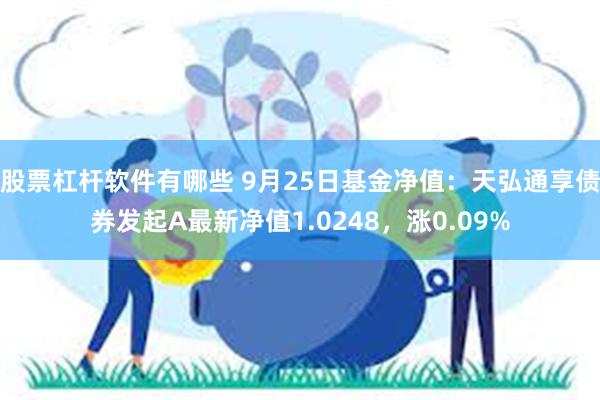 股票杠杆软件有哪些 9月25日基金净值：天弘通享债券发起A最新净值1.0248，涨0.09%