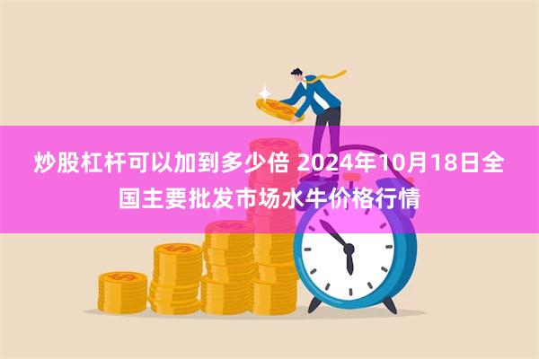 炒股杠杆可以加到多少倍 2024年10月18日全国主要批发市场水牛价格行情