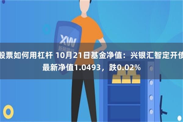 股票如何用杠杆 10月21日基金净值：兴银汇智定开债最新净值1.0493，跌0.02%