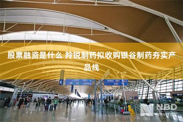 股票融资是什么 羚锐制药拟收购银谷制药夯实产品线