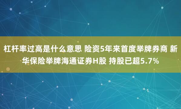 杠杆率过高是什么意思 险资5年来首度举牌券商 新华保险举牌海通证券H股 持股已超5.7%