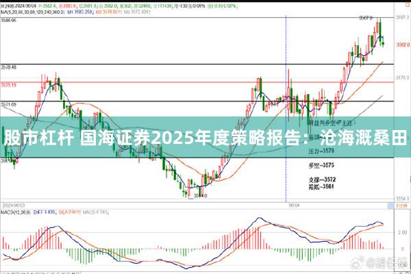 股市杠杆 国海证券2025年度策略报告：沧海溉桑田