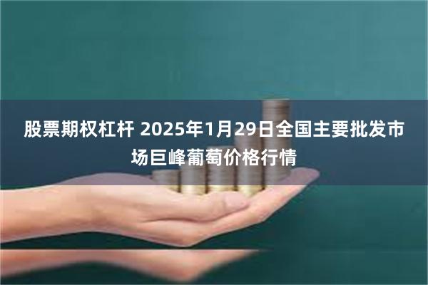 股票期权杠杆 2025年1月29日全国主要批发市场巨峰葡萄价格行情