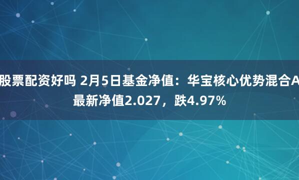 股票配资好吗 2月5日基金净值：华宝核心优势混合A最新净值2.027，跌4.97%