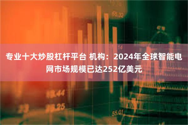 专业十大炒股杠杆平台 机构：2024年全球智能电网市场规模已达252亿美元