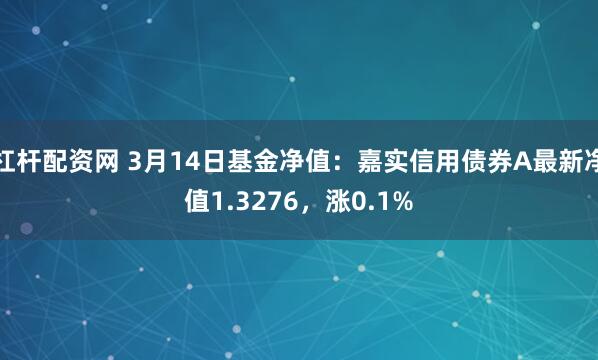 杠杆配资网 3月14日基金净值：嘉实信用债券A最新净值1.3276，涨0.1%